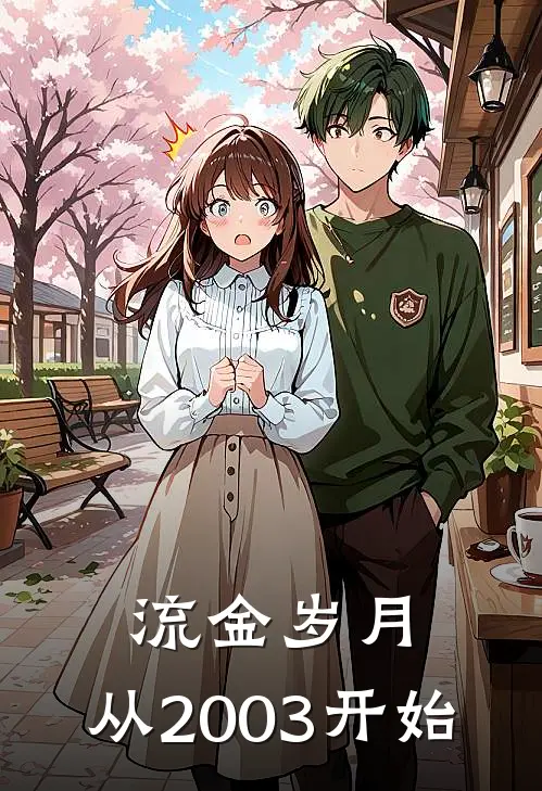 流金岁月：从2003开始