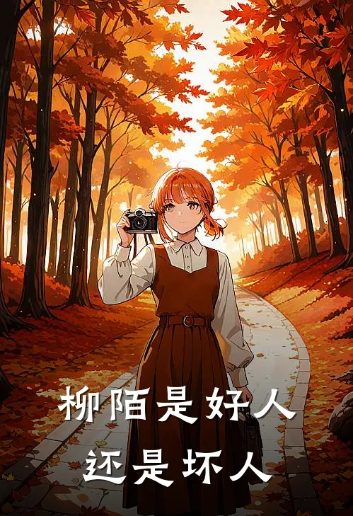 柳陌是好人还是坏人